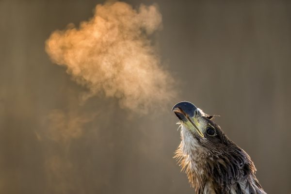 _M125212