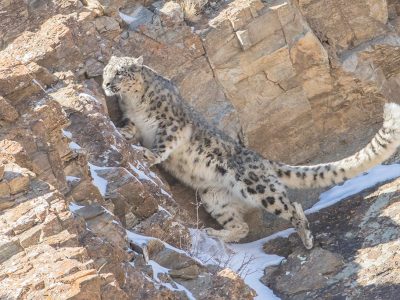 phoca_thumb_l_501A0057