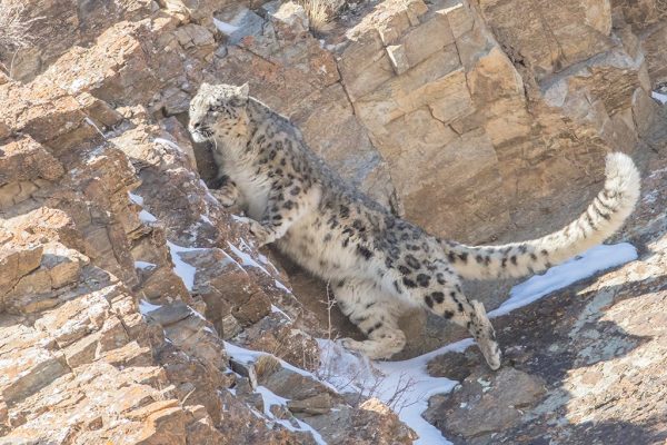 phoca_thumb_l_501A0057