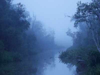 phoca_thumb_l_Borneo_bltime