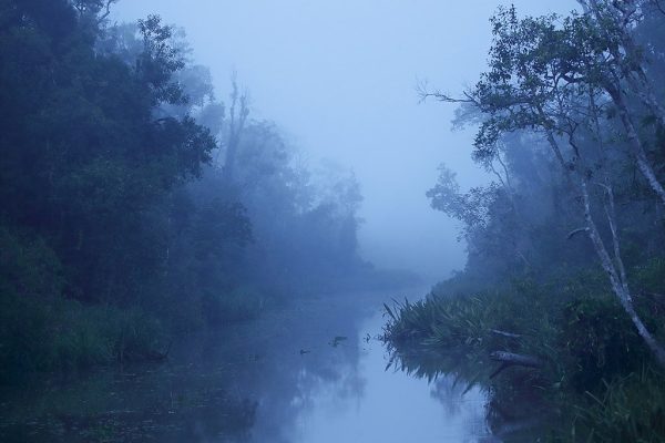 phoca_thumb_l_Borneo_bltime