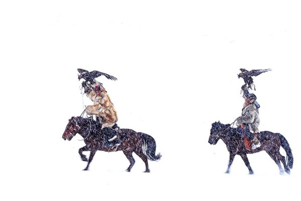 phoca_thumb_l_Eagle_Hunters_B7A3026