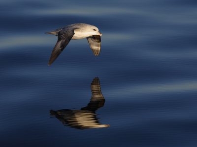 phoca_thumb_l_TS8242