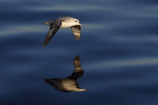 phoca_thumb_l_TS8242