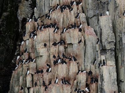 phoca_thumb_l_TS8397