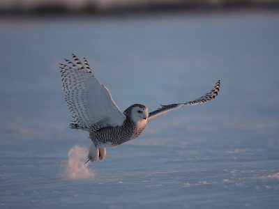 phoca_thumb_l_TS9665