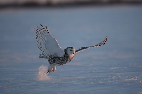 phoca_thumb_l_TS9665