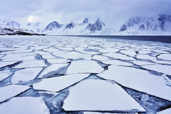phoca_thumb_l_landskap_spitsbergen_spitsbergen-_DSC2351
