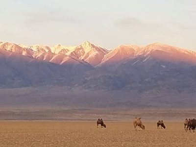 phoca_thumb_l_mountain_camp